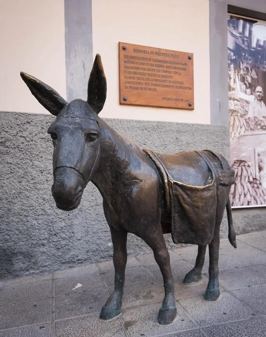 Casa Rural El Burro Agüimes